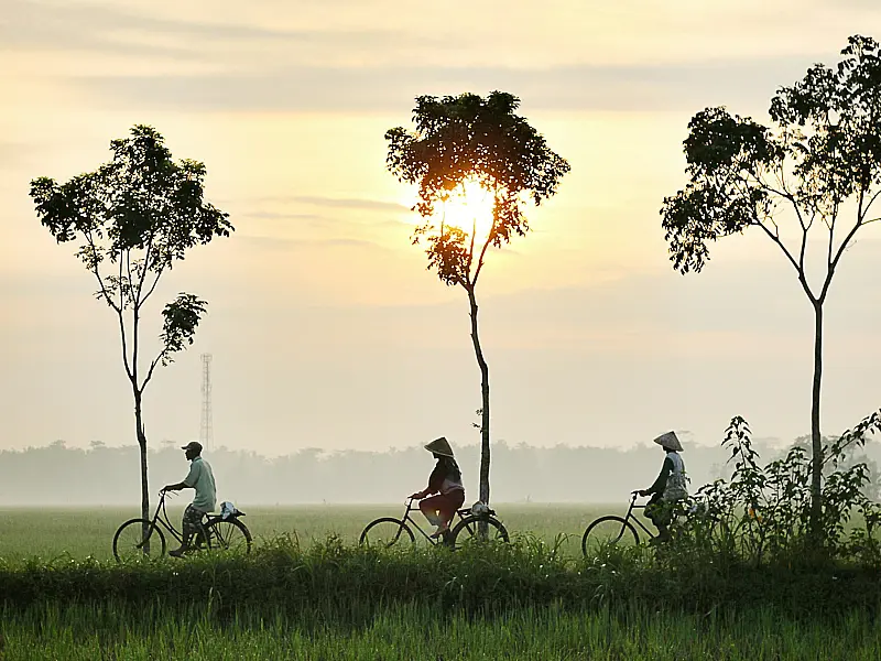 Certified Indonesian Document Translation in Nepal: Legal, Business & Immigration