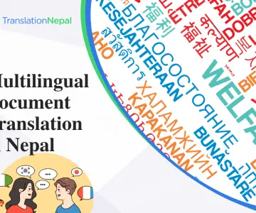 Multilingual Document Translation & Verification