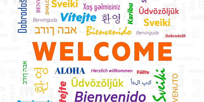 Multilingual Translation Services