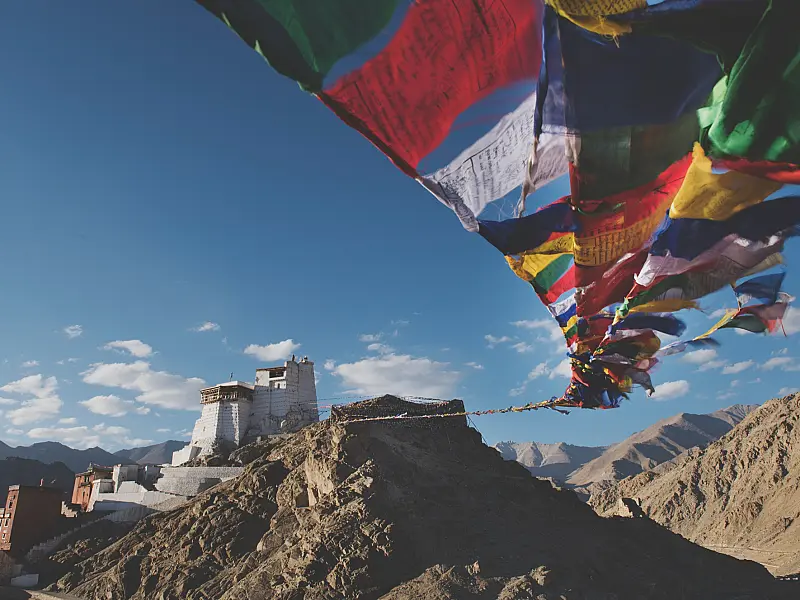 Online Translation Services Available Across Major Cities in Nepal